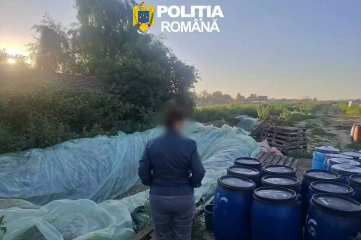 Ce au găsit autoritățile în mai multe gropi săpate în pământ, în Dâmbovița. Întreaga cantitate a fost distrusă pe loc